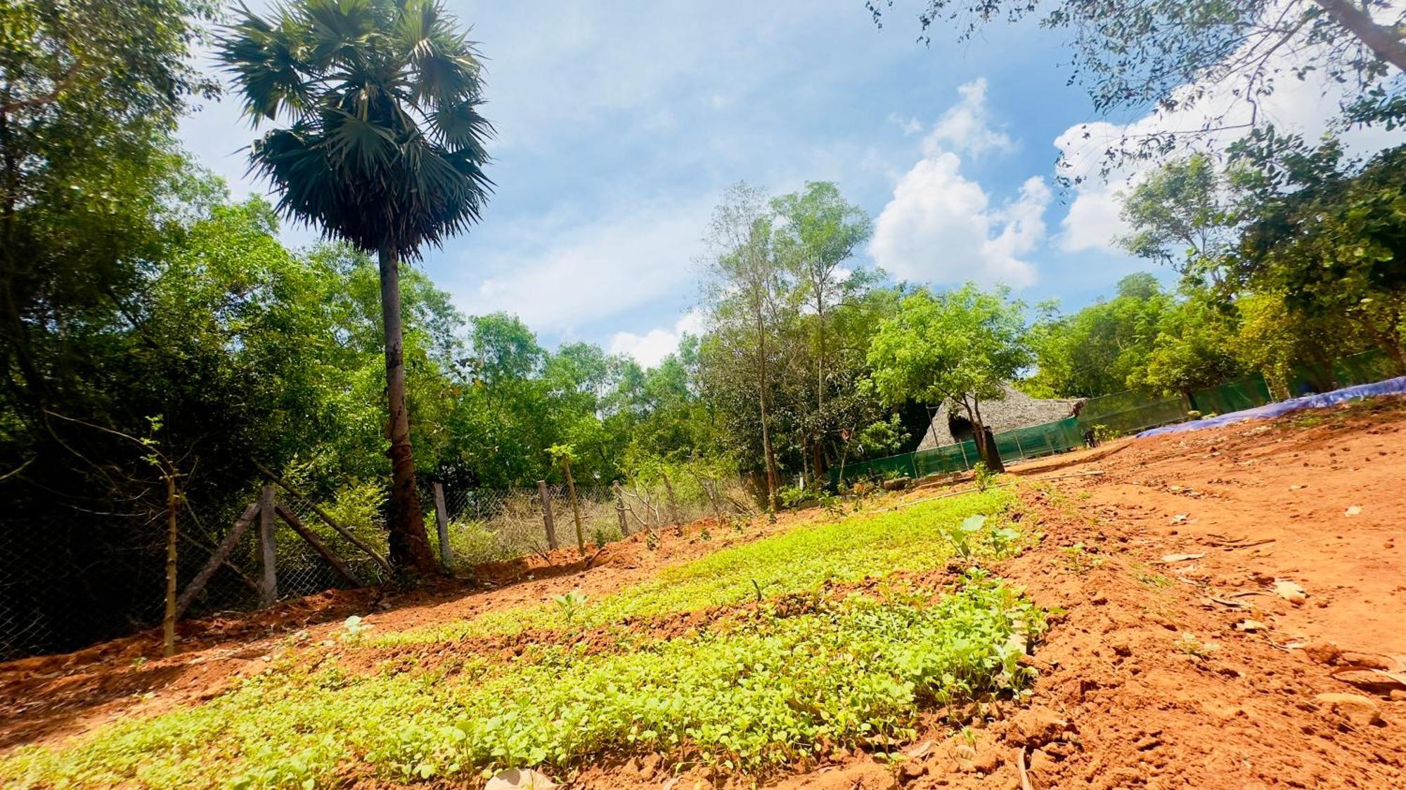 Lotus Garden Guest House Auroville Exterior foto